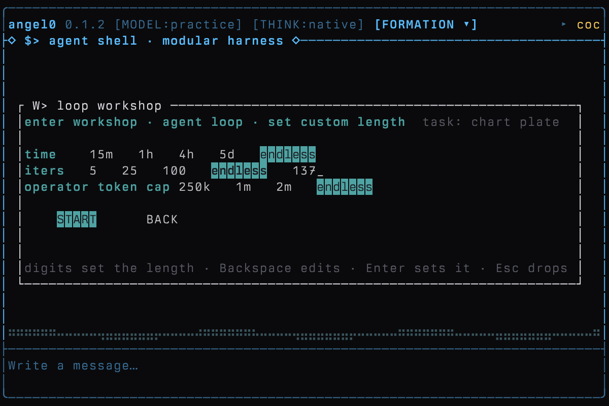 Engaging a loop: the workshop dialog showing time, rounds and token cap before the run starts